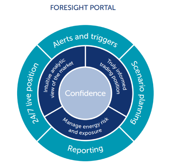 foresight portal 2022