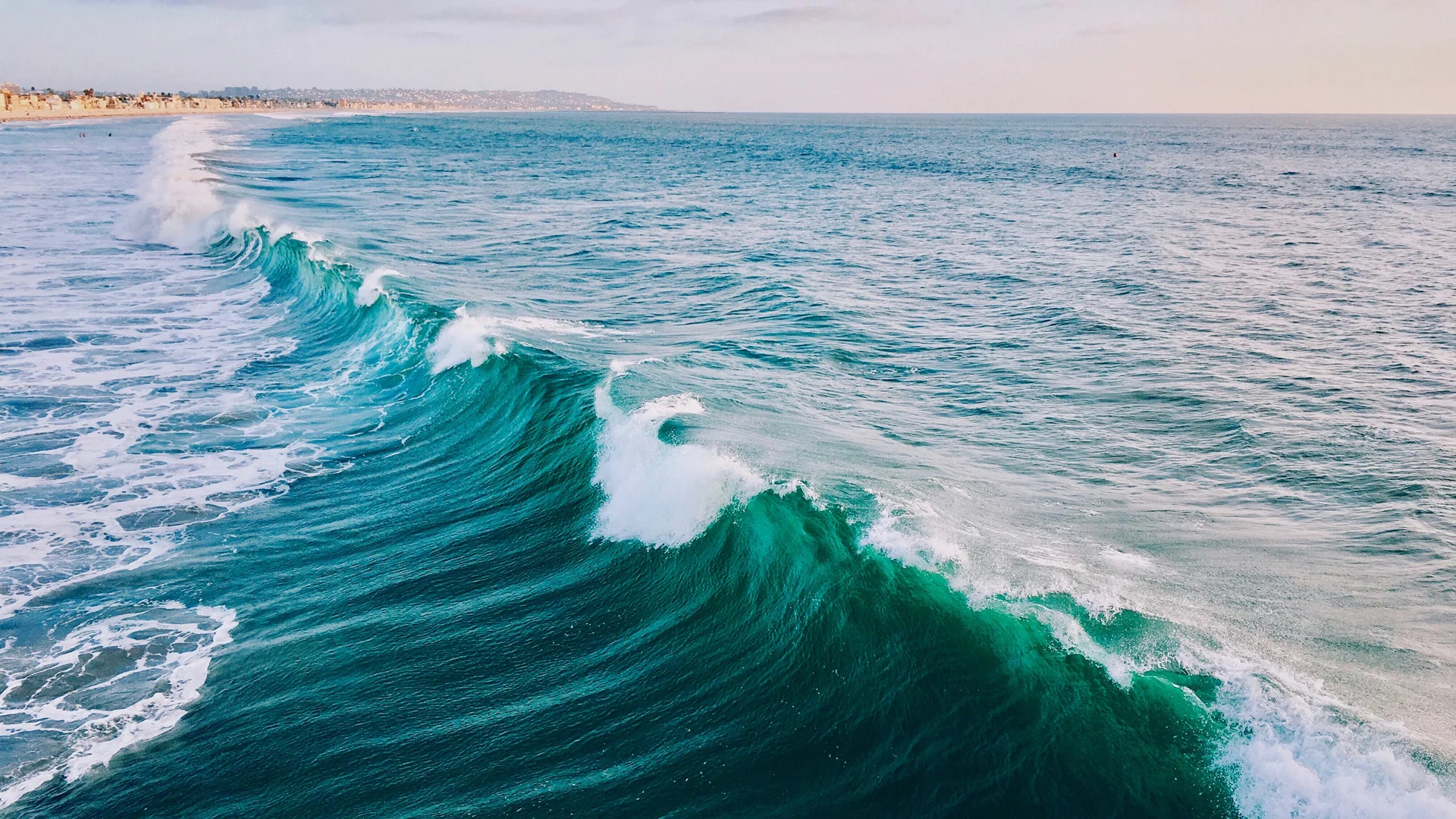San Diego wave