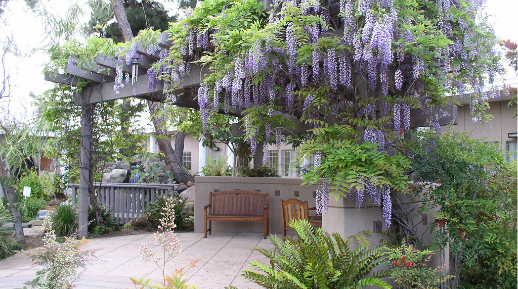 Sharp Mesa Vista Hospital Sharp HealthCare