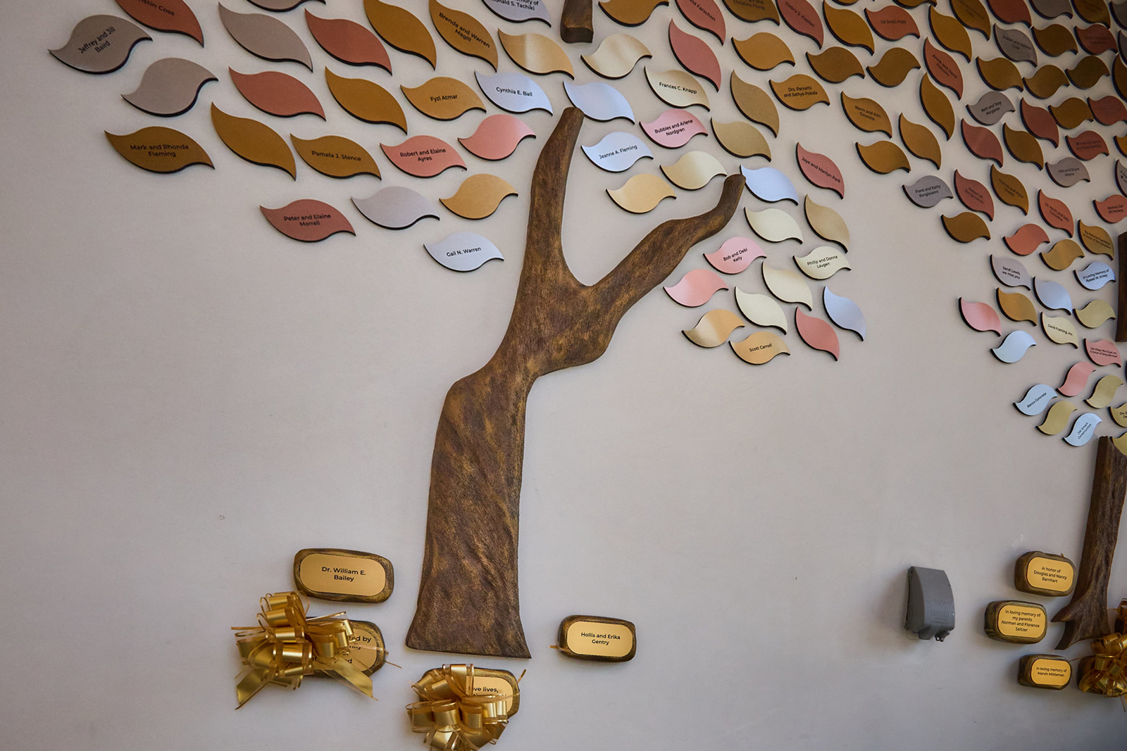 Moore MountainView Hospice Home Memory Tree