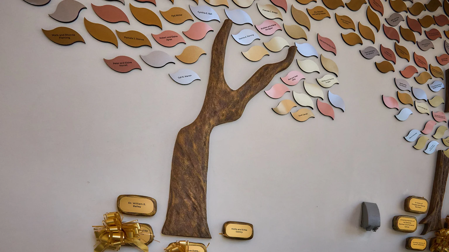 Moore MountainView Hospice Home Memory Tree