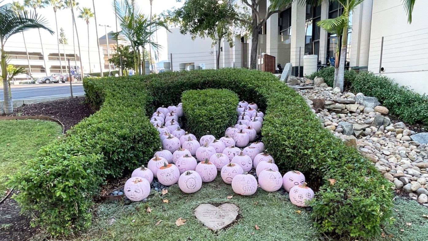 The pink pumpkin patch at Sharp Grossmont Hospital for Breast Cancer Awareness Month