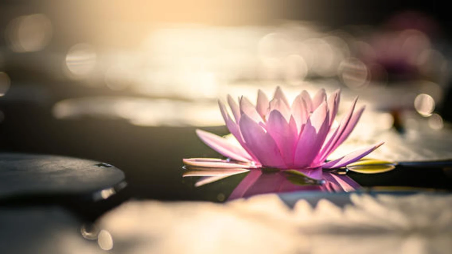 Where the need is greatest (hospice)