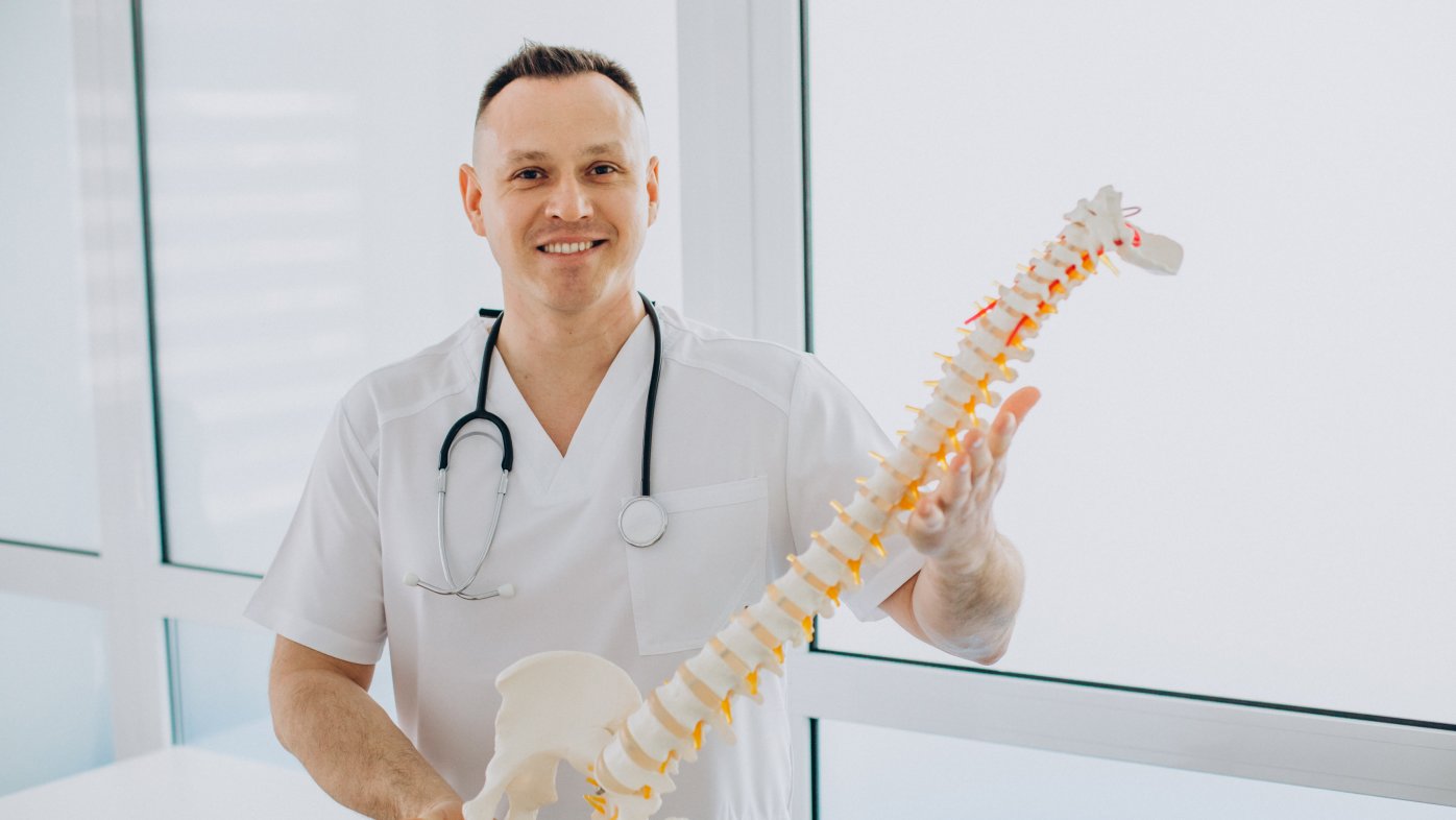 Vertebrae physiotherapist holding artificial spine