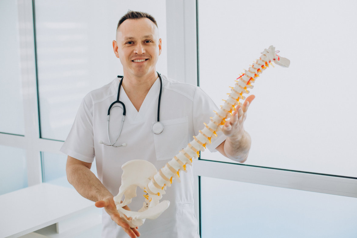Vertebrae physiotherapist holding artificial spine