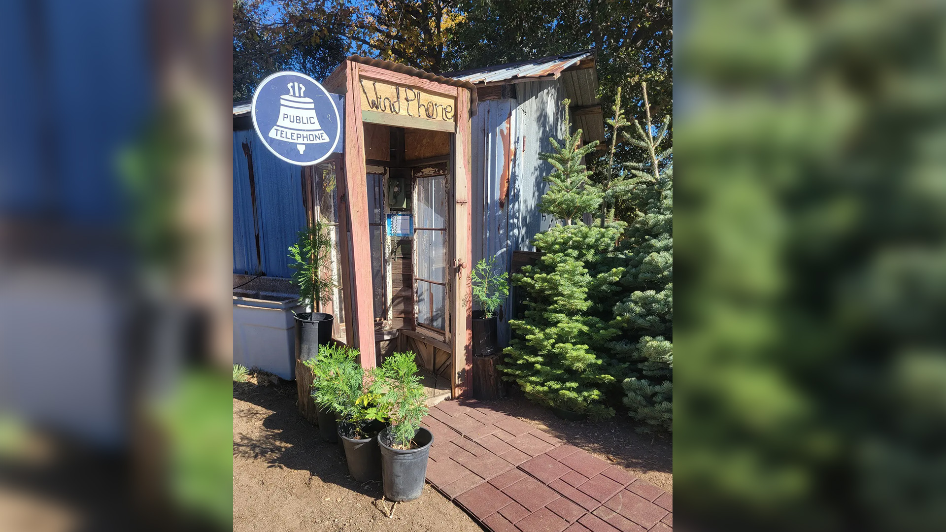 Wind phone at the Julian Christmas Tree Ranch in Julian California