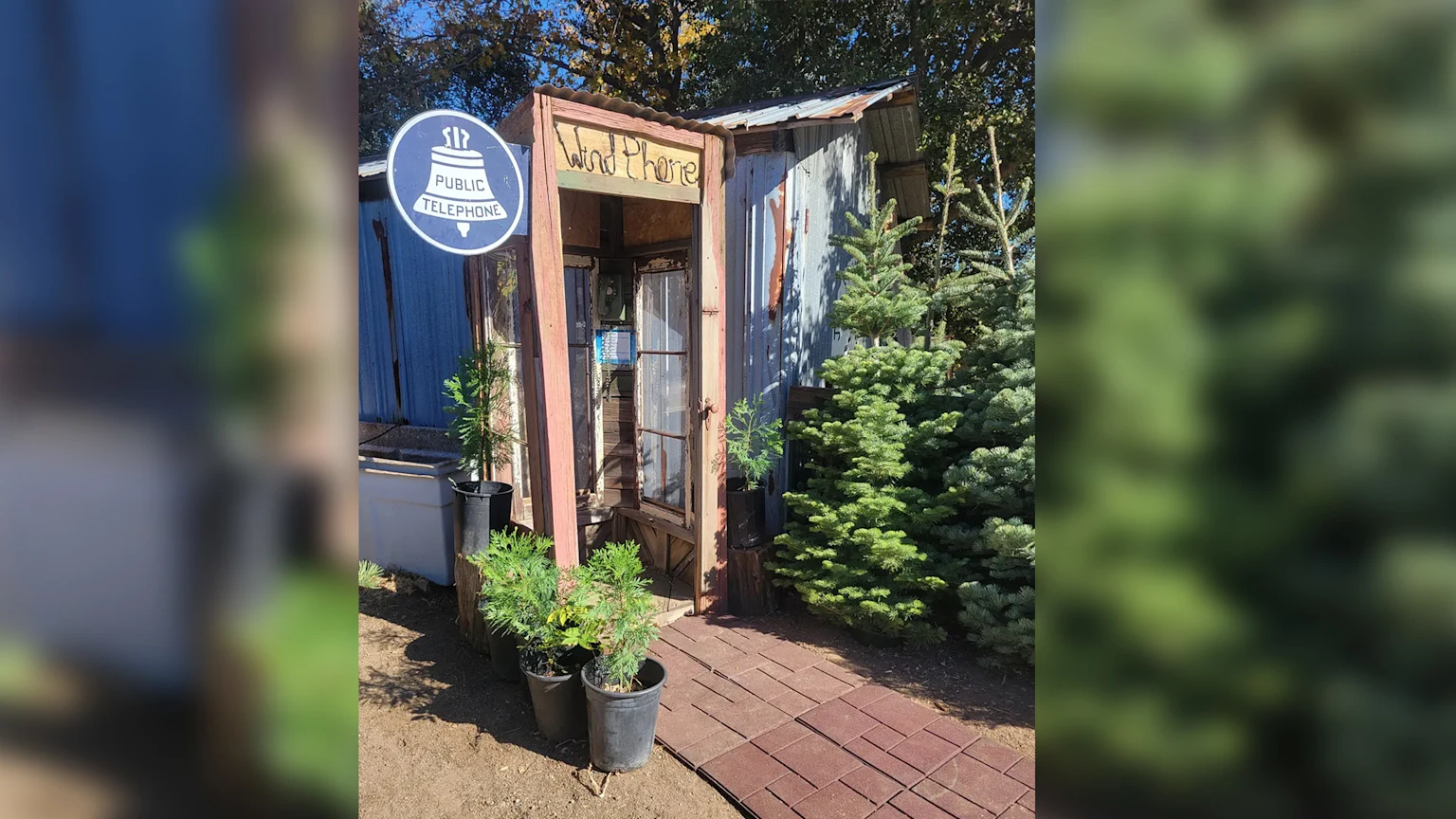 Wind phone at the Julian Christmas Tree Ranch in Julian California