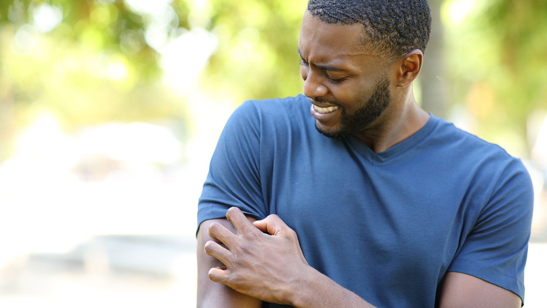 What Should You Do If You Get Stung by a Bee? | Sharp HealthCare