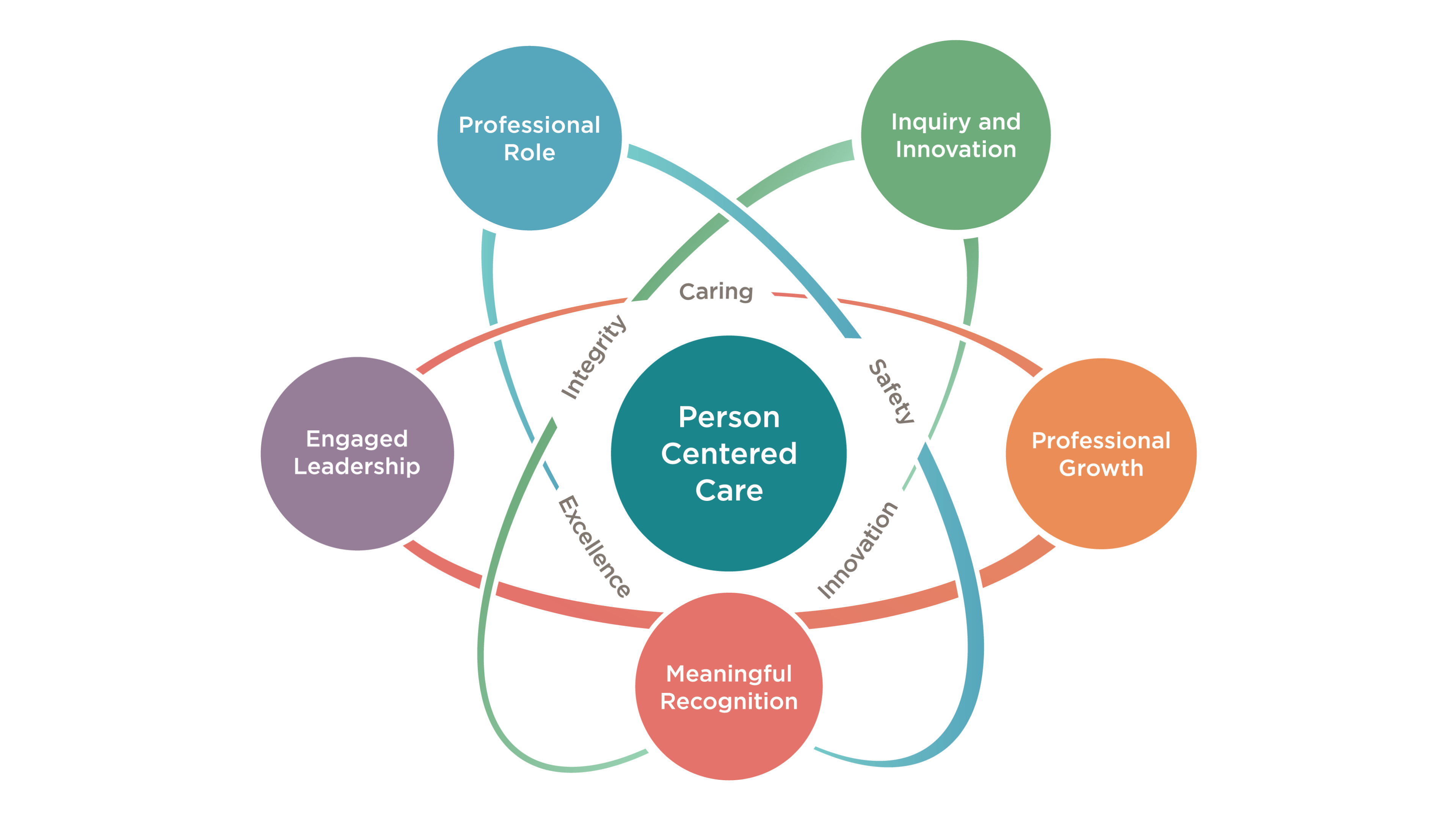 Everyday Excellence A Framework for Professional Nursing Practice in