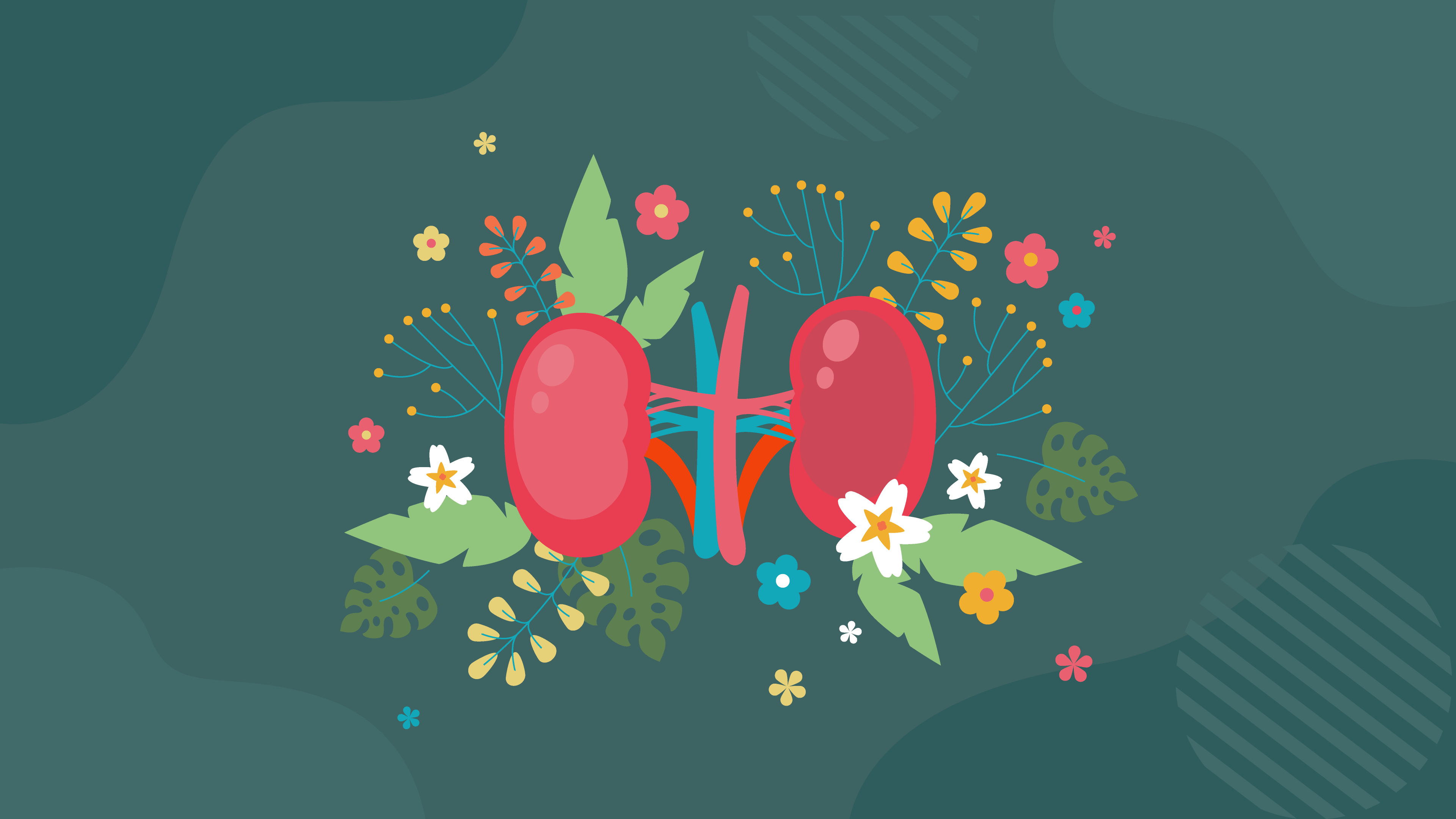 The Future of Renal Transplantation The Future of Renal Transplantation