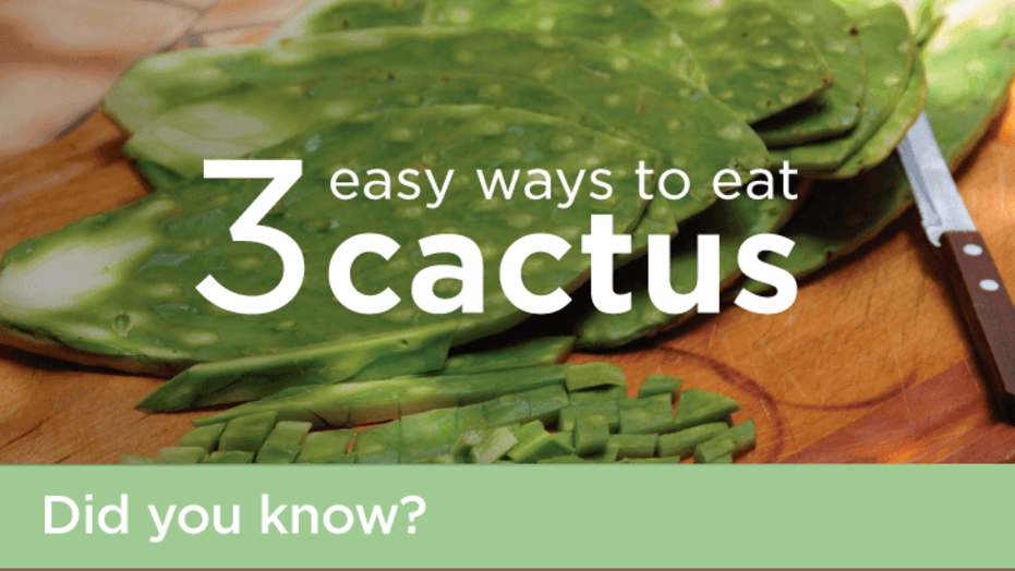 Cactus infographic resize 051019 PNG