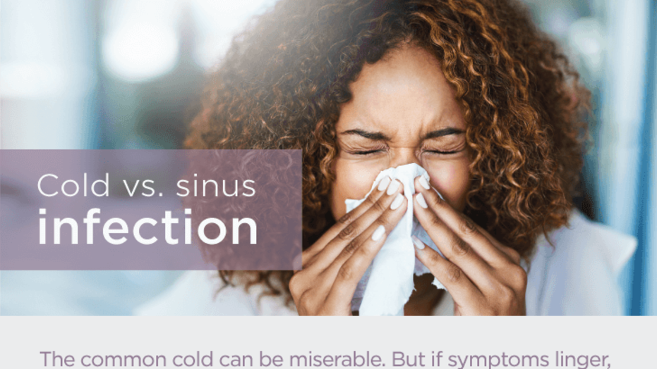 Cold vs Sinus Infection REFRESH 051519 PNG