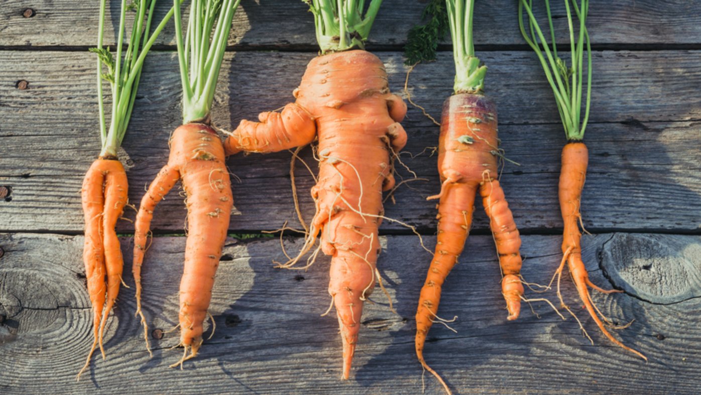 Crafting meals from ‘unusual but usable’ produce