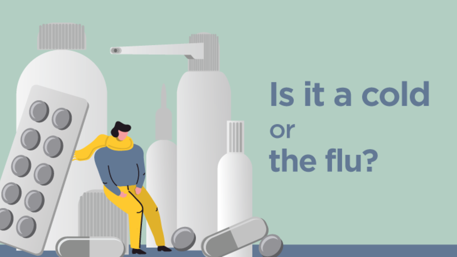Cold vs Flu infographic REFRESH 051719 PNG