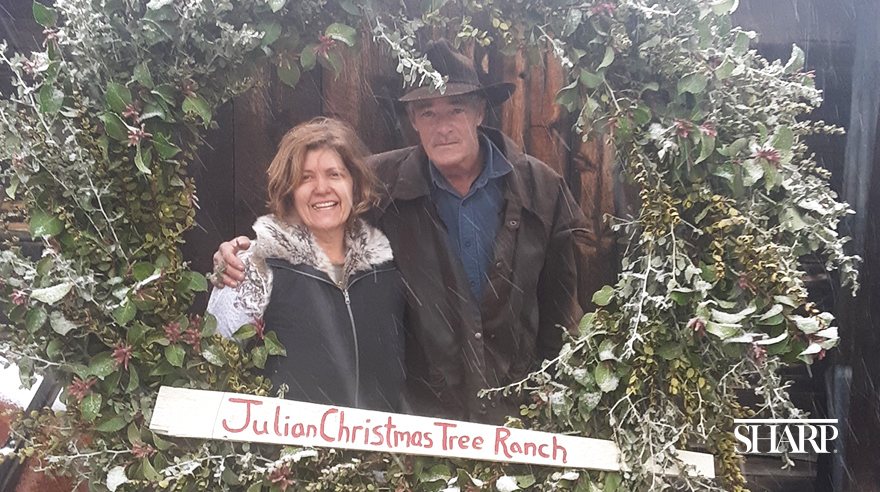 Sharp HospiceCare Employee Owns Christmas Tree Farm Sharp HealthCare