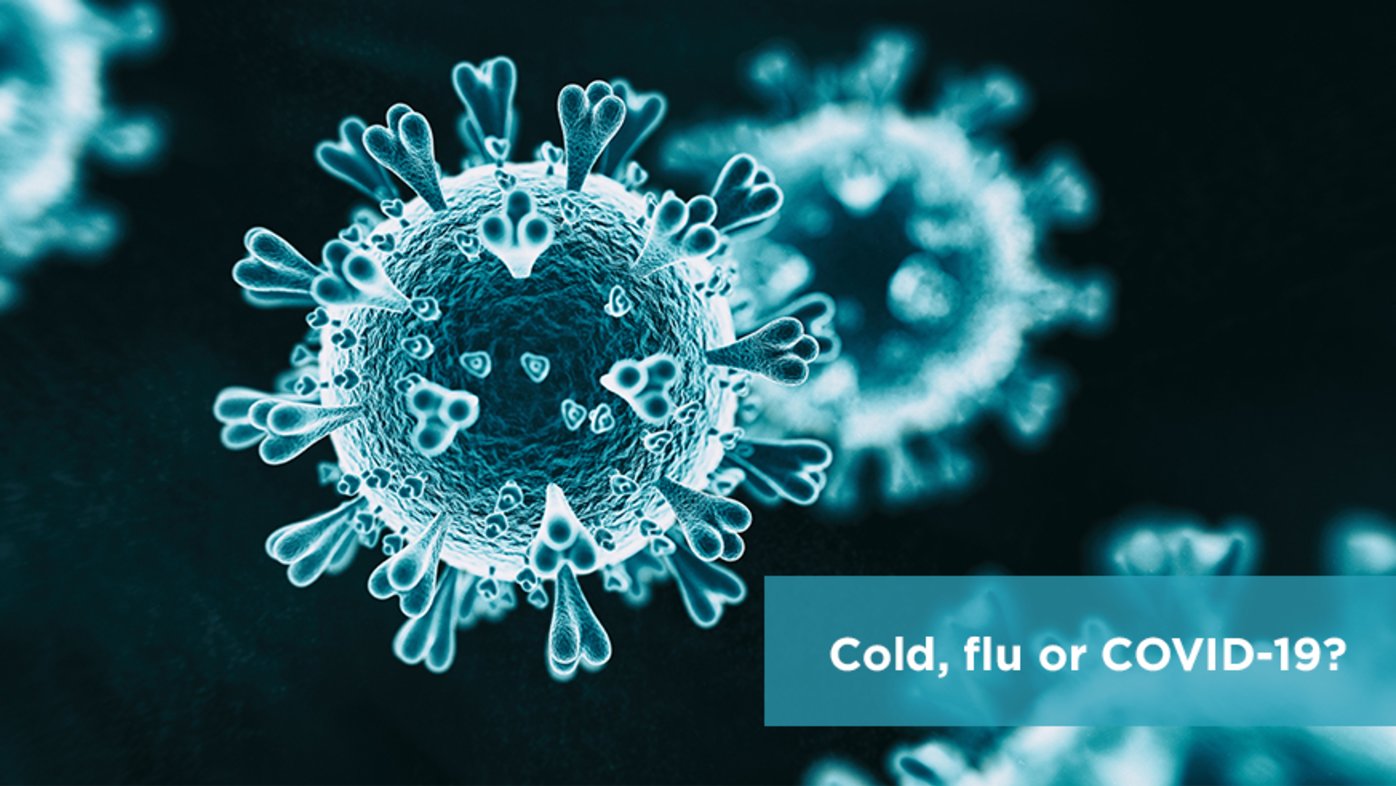 Cold, flu or COVID-19? (infographic)
