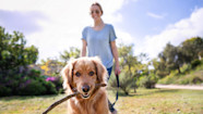 How Can Pets Help With Mental Health Sharp HealthCare