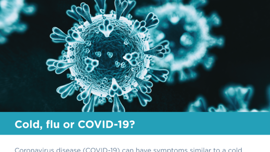 COVID flu or cold symptoms infographic UPDATE 100120 PNG