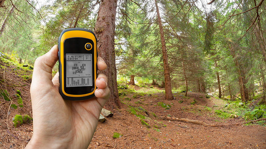 Finding the right position in the forest via GPS