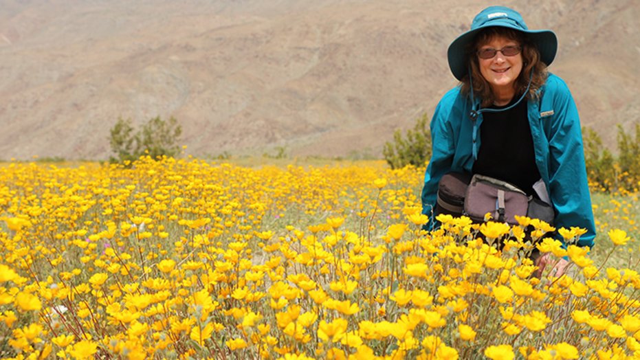 Sue Rose, an accomplished photographer and writer, will be submitting blog posts throughout her hike sharing photography of the stellar landscape along with tales of her time on the trail.