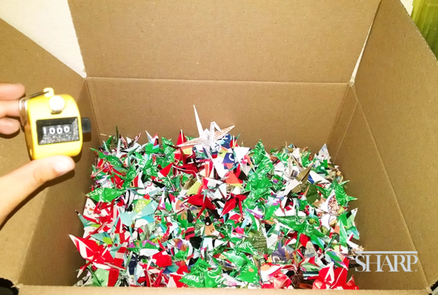 1000-cranes-and-one-wish-to-end-the-pandemic-HN2575-Body-3-Logo-Sized