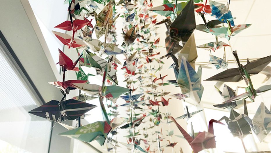 Mari Pitts strung all 1,000 cranes together — 40 cranes on each of the 25 strings.