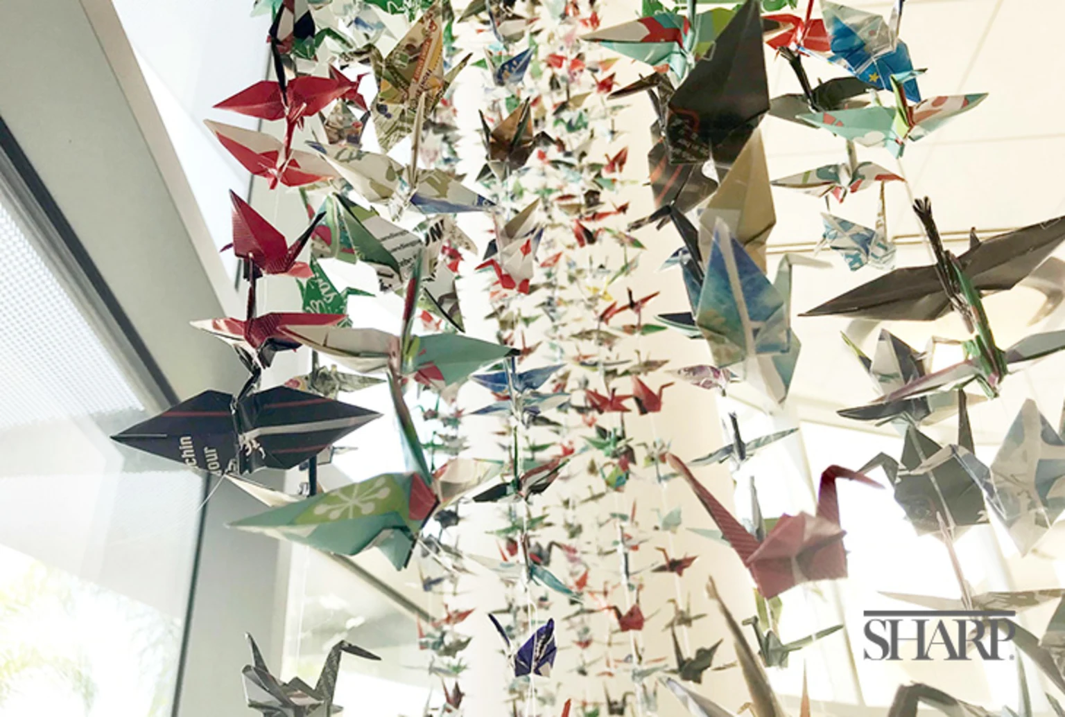 1000-cranes-and-one-wish-to-end-the-pandemic-HN2575-Body-2-Logo-Sized