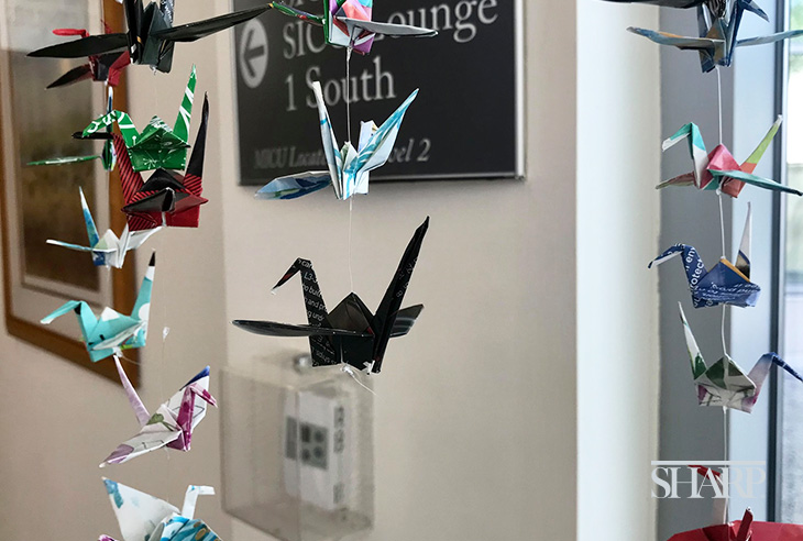 1000-cranes-and-one-wish-to-end-the-pandemic-HN2575-Body-1-Logo-Sized