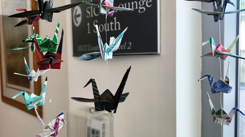 The cranes are on display in the lobby of Sharp Grossmont Hospital’s Intensive Care Unit.