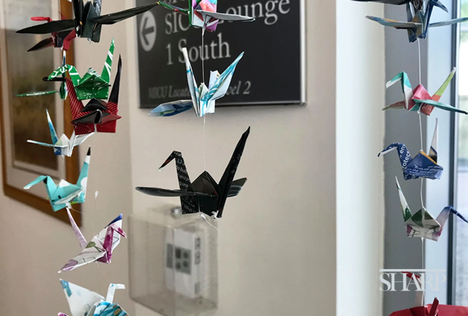 1000-cranes-and-one-wish-to-end-the-pandemic-HN2575-Body-1-Logo-Sized