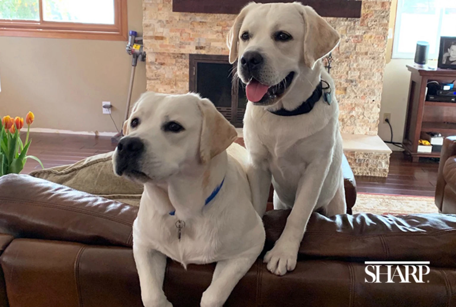 SGH-husband-and-wife-team-care-for-COVID-patients-in-ICU-at-SGH-HN2335-Body-Logo-Re-Sized_1