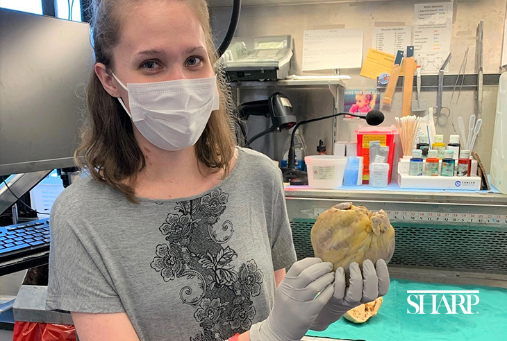 New-Mom-Gets-New-Heart-HN2351-Heart-Body-Logo-Re-Sized