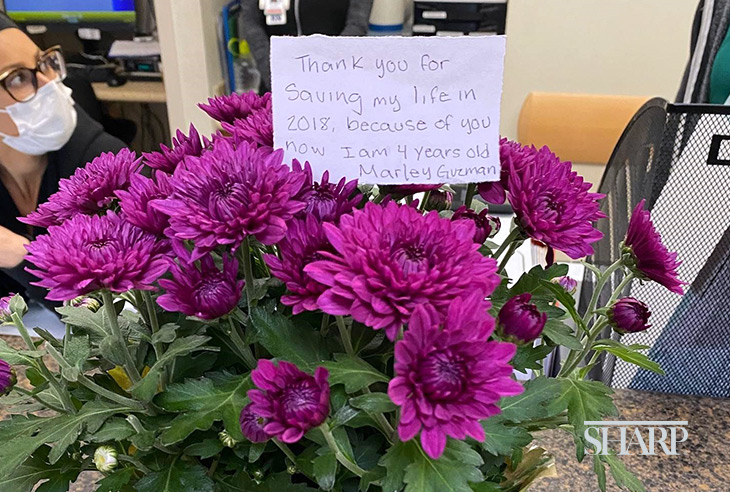 Flowers-from-Marley-HN2665-Dr-Holman-Body-Sized