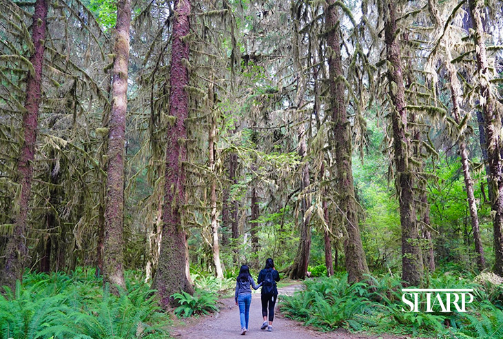 Dr-Tommy-Korn-love-of-photography-improves-patient-care-HN2673-Body-1-Sized_1