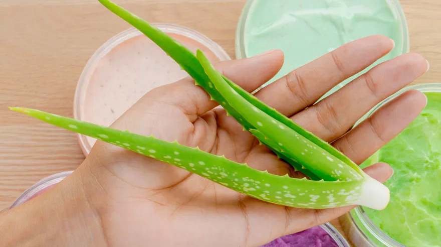 Does aloe vera really help with sunburn? 