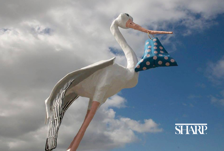 4-5-Things-Sharp-Stork-HN1202-Stork-Cover-BodySized-Logo-Sized-4