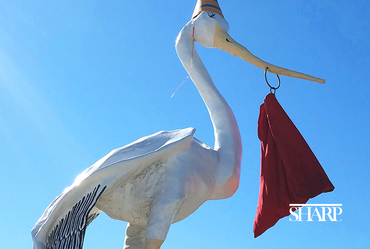 5-5-Things-Sharp-Stork-HN1202-Engineering-Logo-Sized-5