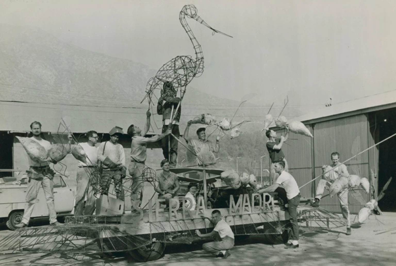 SMB-stork_1