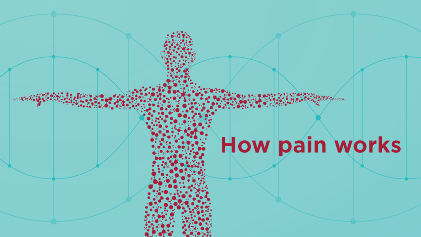 How pain works (infographic)