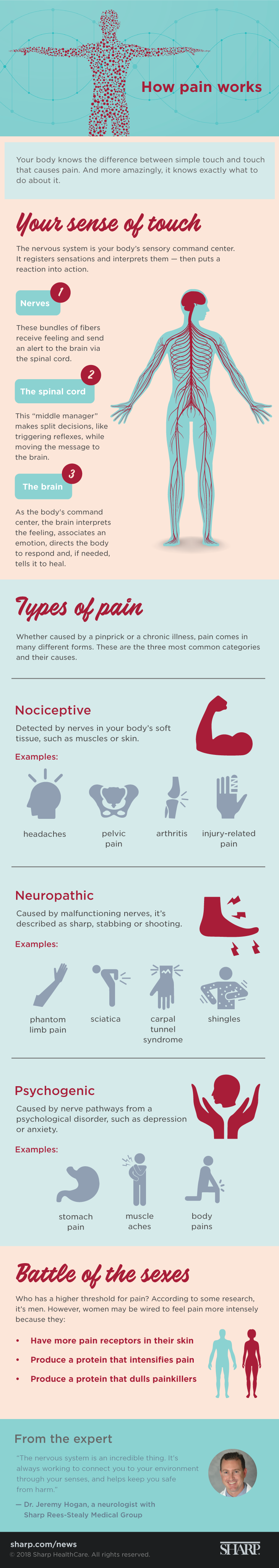 DM119-Anatomy-101-How-pain-works-DM-Infographic-FINAL