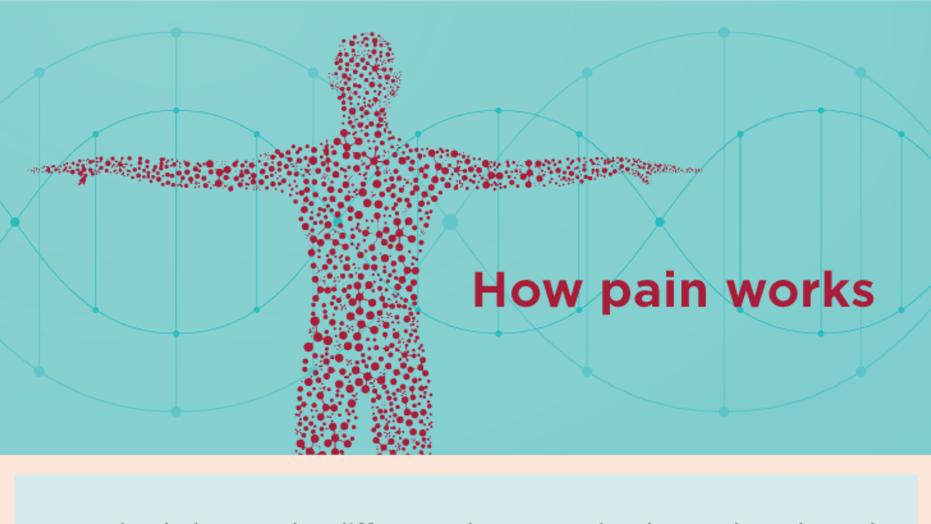 How pain works (infographic) PNG