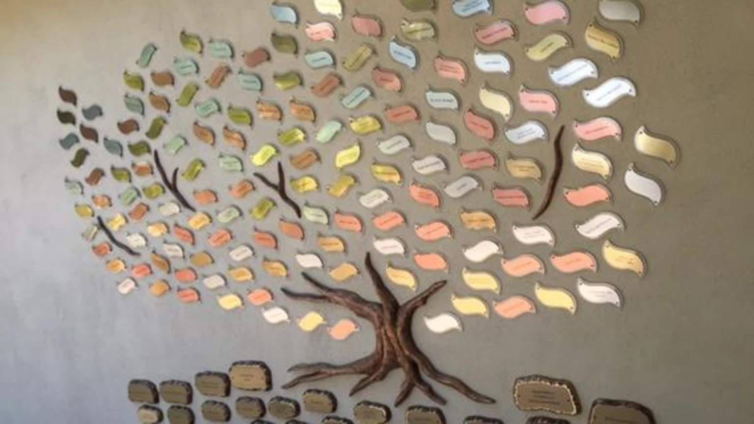 ParkView HospiceHouse Tree