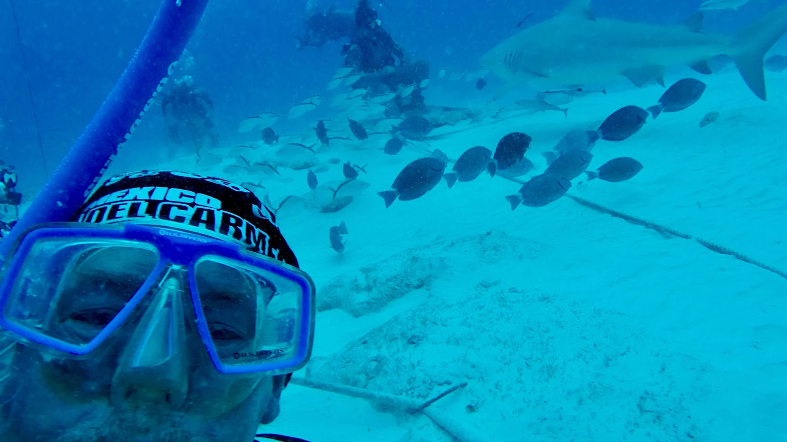 Mike Burge of San Diego snorkeling underwater with fish