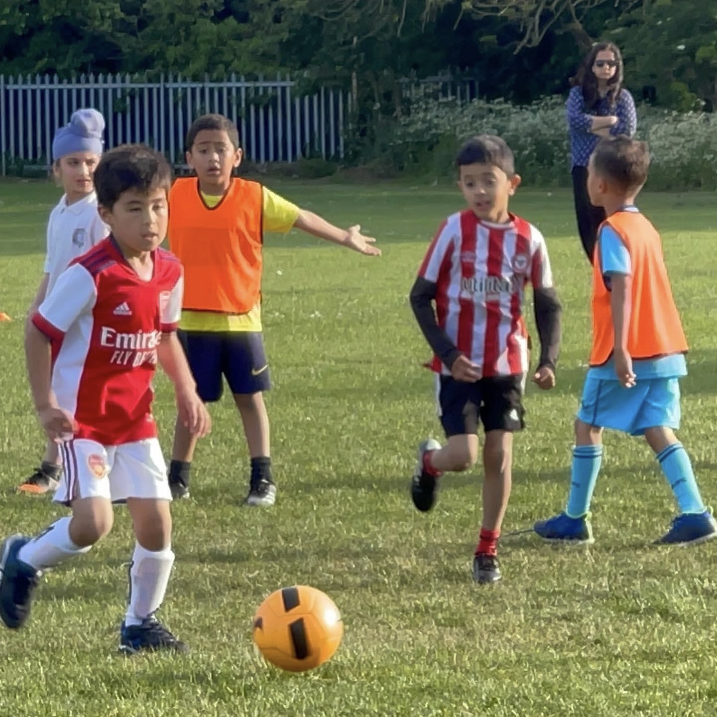 Welcome to the Carshalton Beeches Academy blog