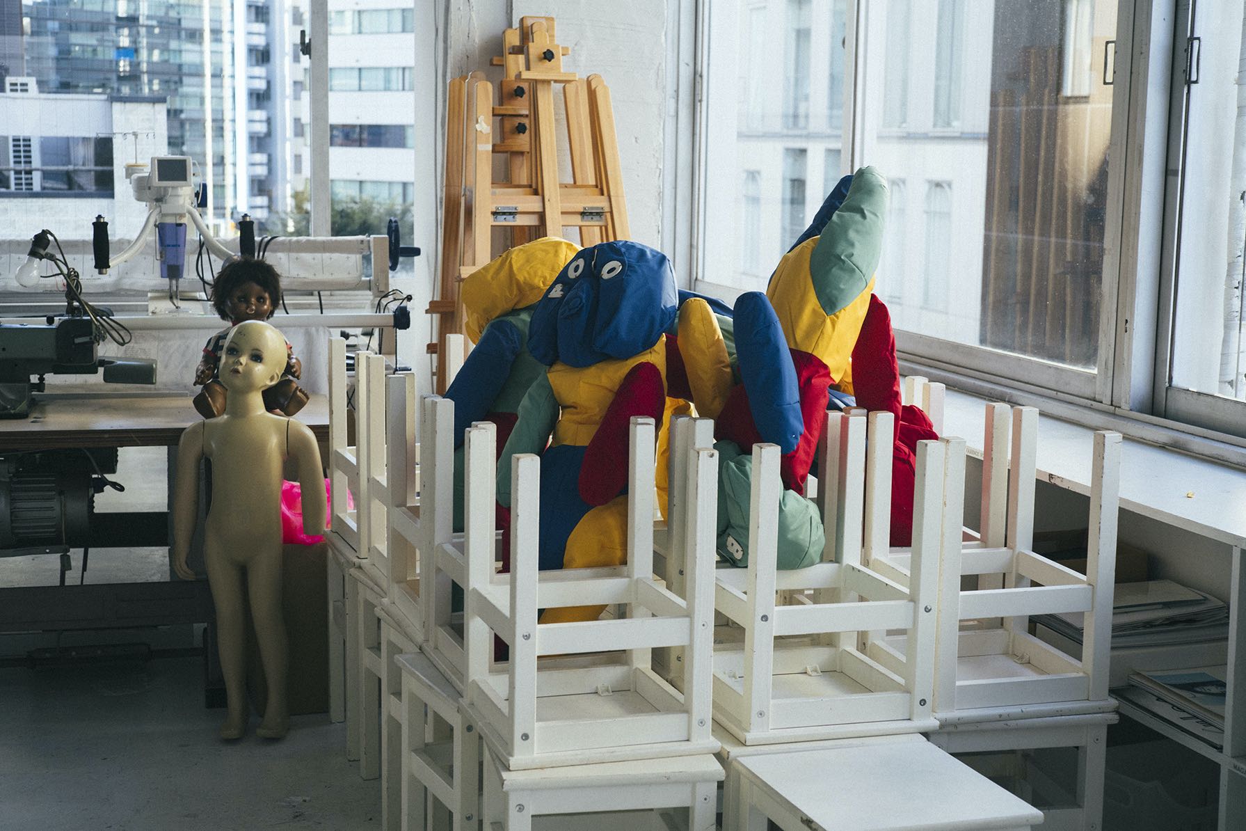 Picure of coconogacco