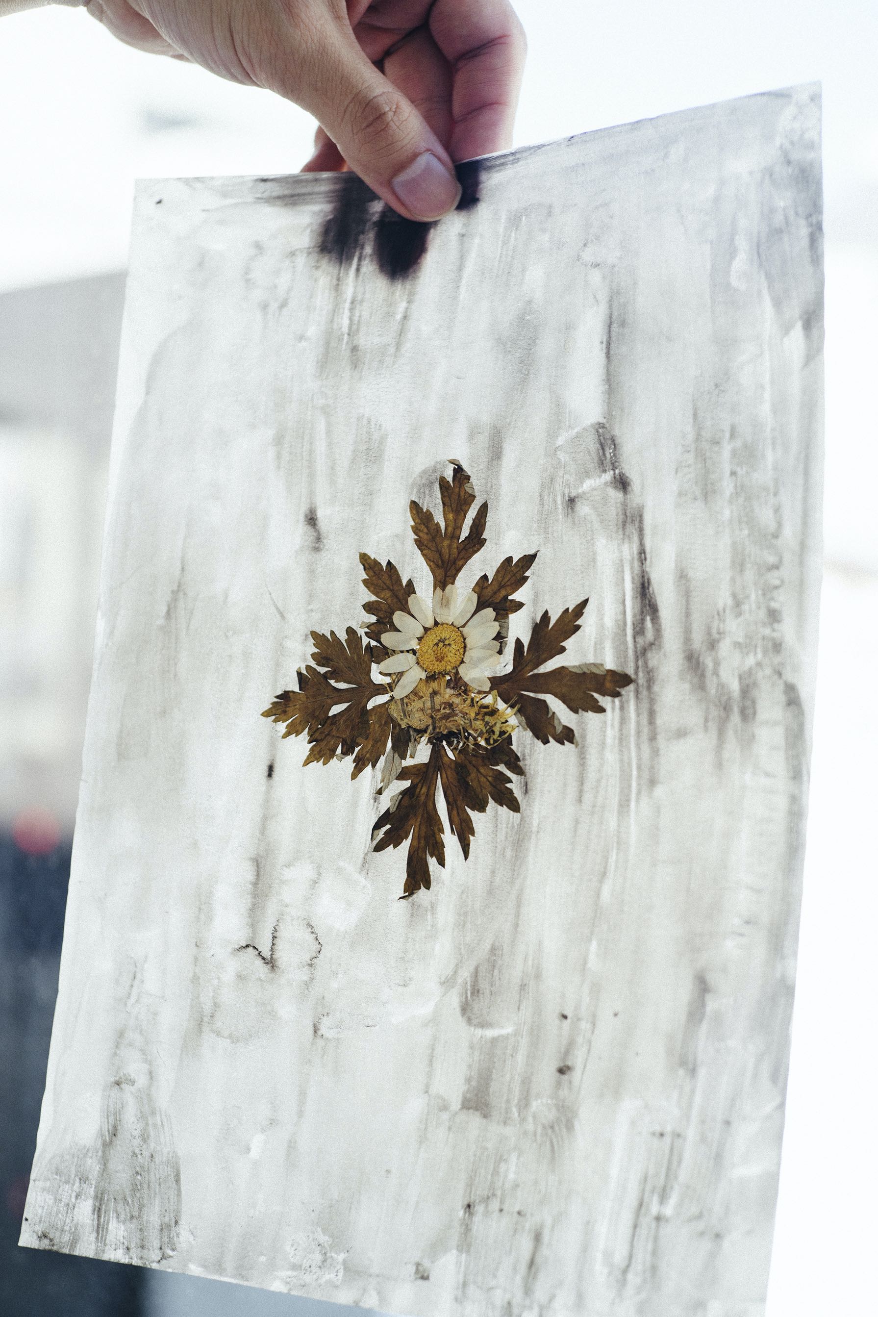 works by Yuki Nakanishi