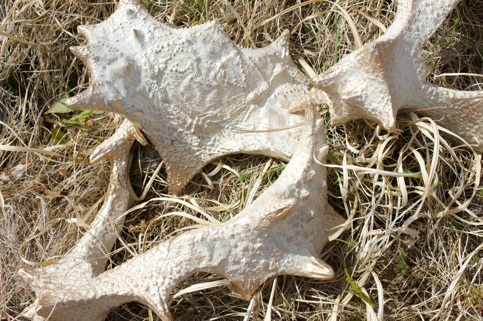 work by Makiko Horiuchi