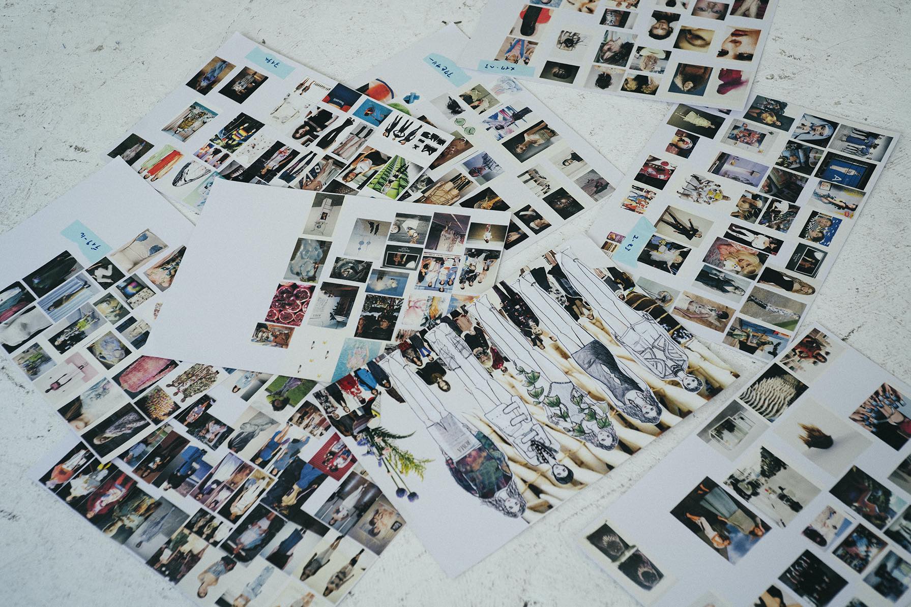 Picure of coconogacco