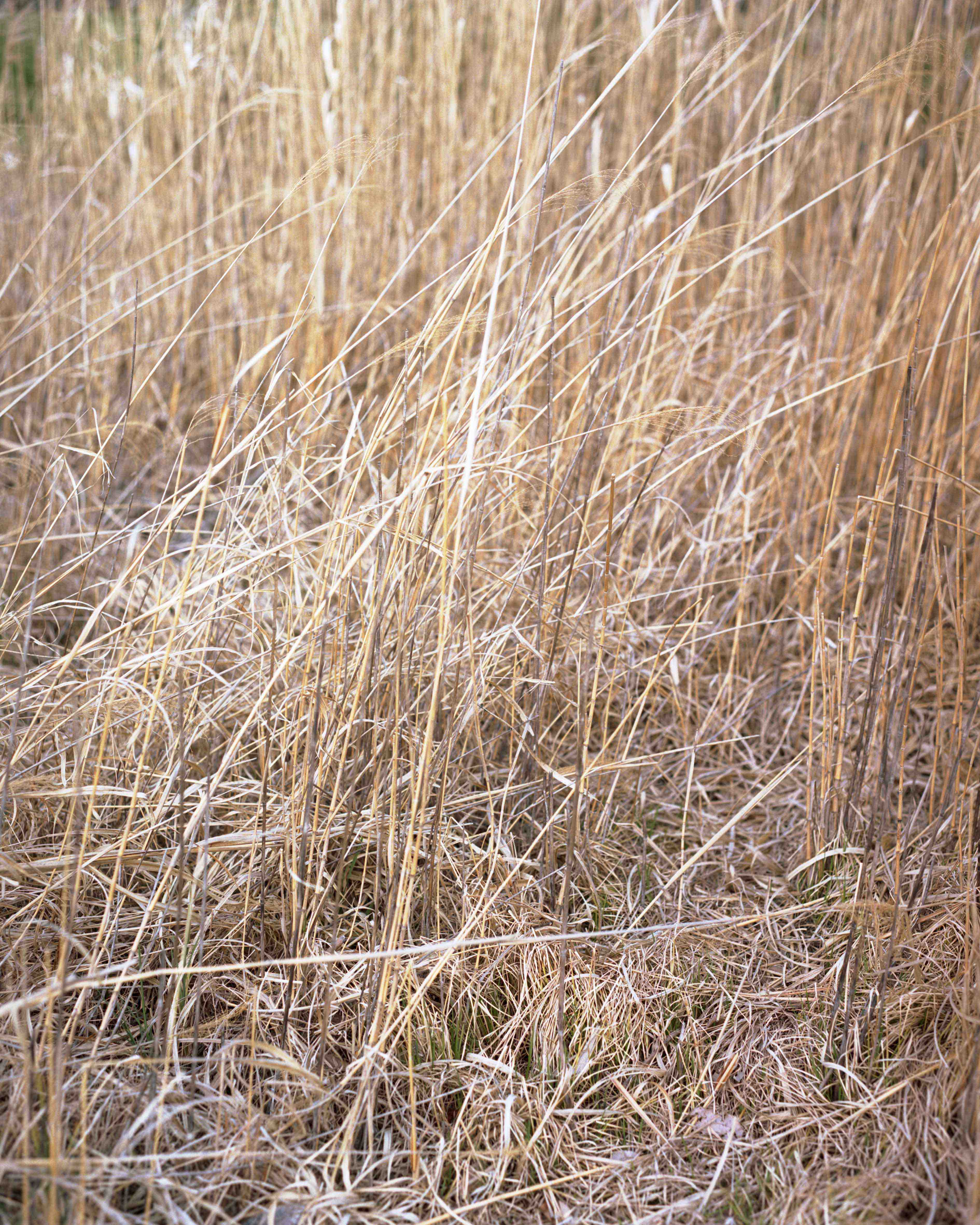 Photo by Kohei Omachi（W）