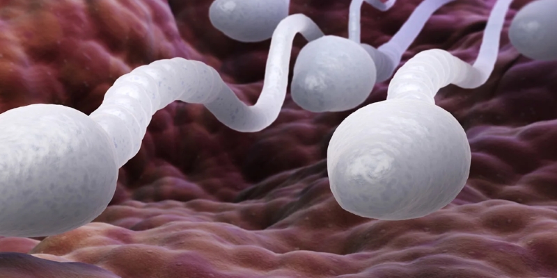 Men buni hammaga onlayn beraman.